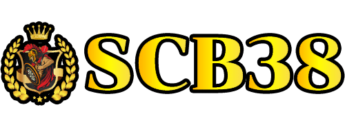 SCB383V1.COM